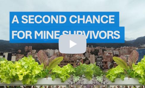 Video Mine victim assistance Colombia2