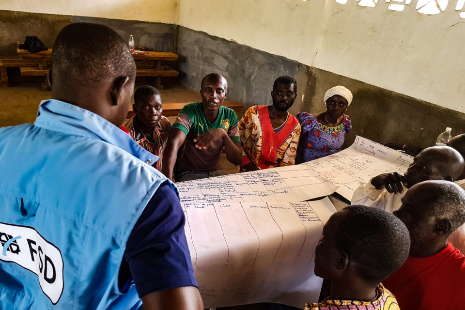 2020-FSD-CAR-Questionnaire Design Group