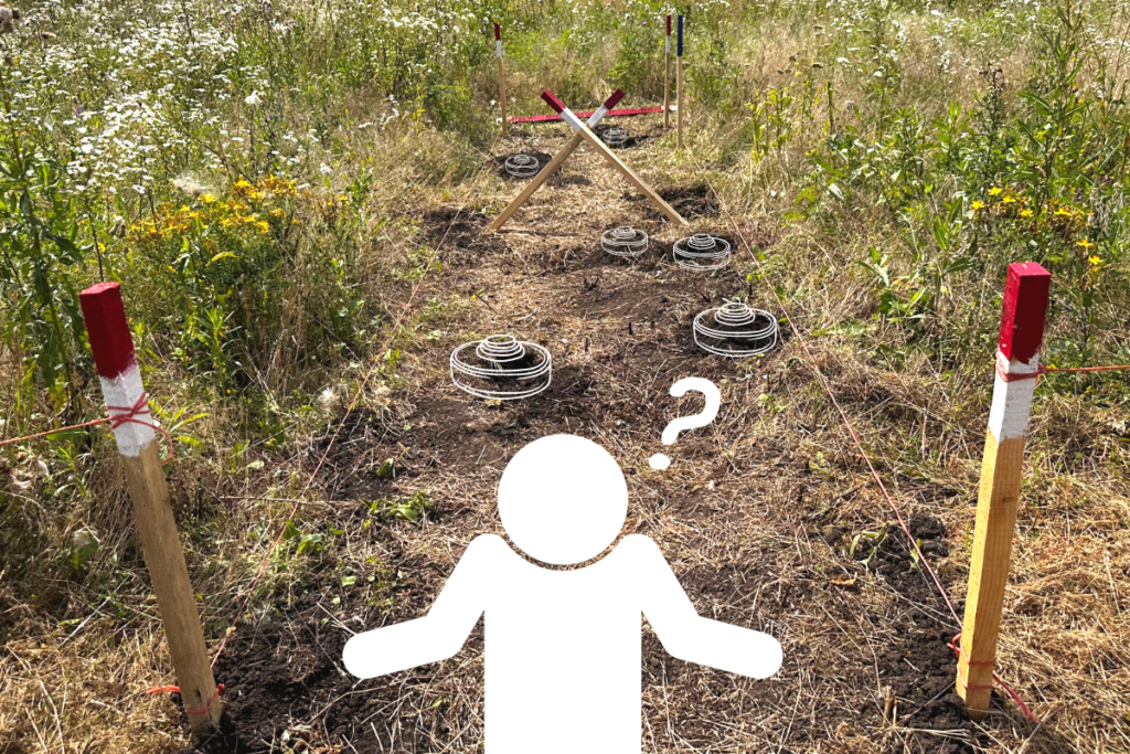 FSD are you fit to be a deminer quiz