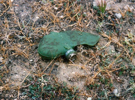 Green PFM-1 mine