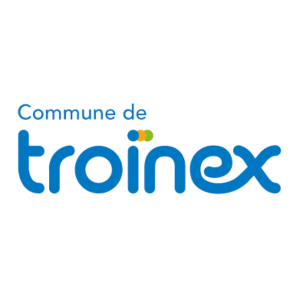 Logo of the European Union