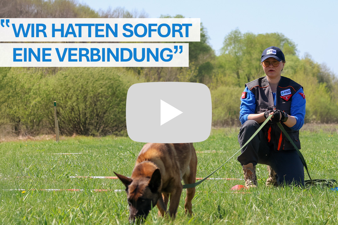 Dogs-training-DE-R FSD are you fit to be a deminer quiz