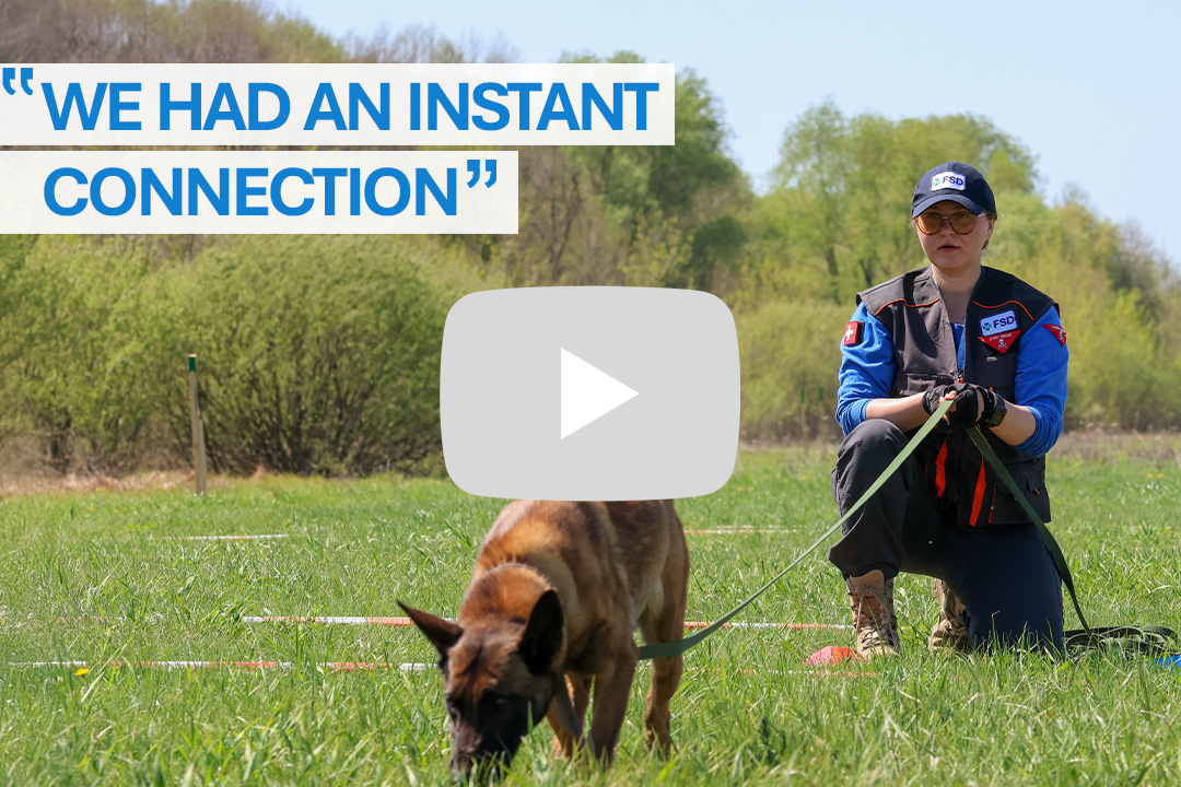 FSD are you fit to be a deminer quiz