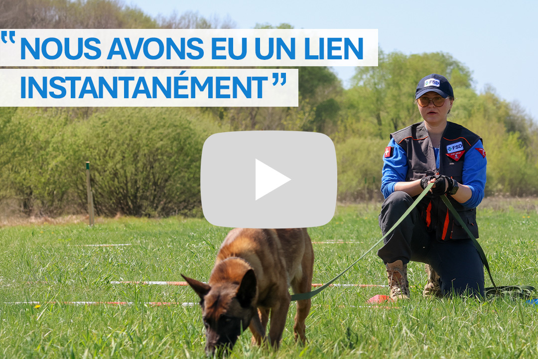 FSD are you fit to be a deminer quiz