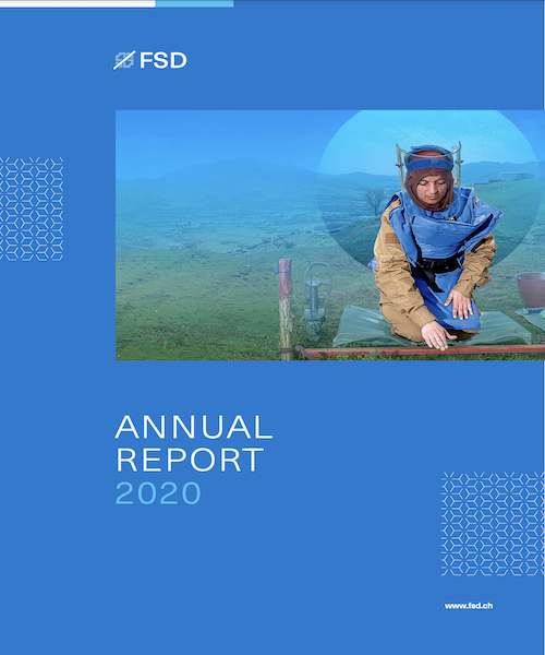 FSD_Annual Report_2020_EN 2020-annual-report-2020