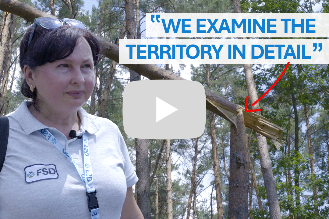 From bombs to blooms