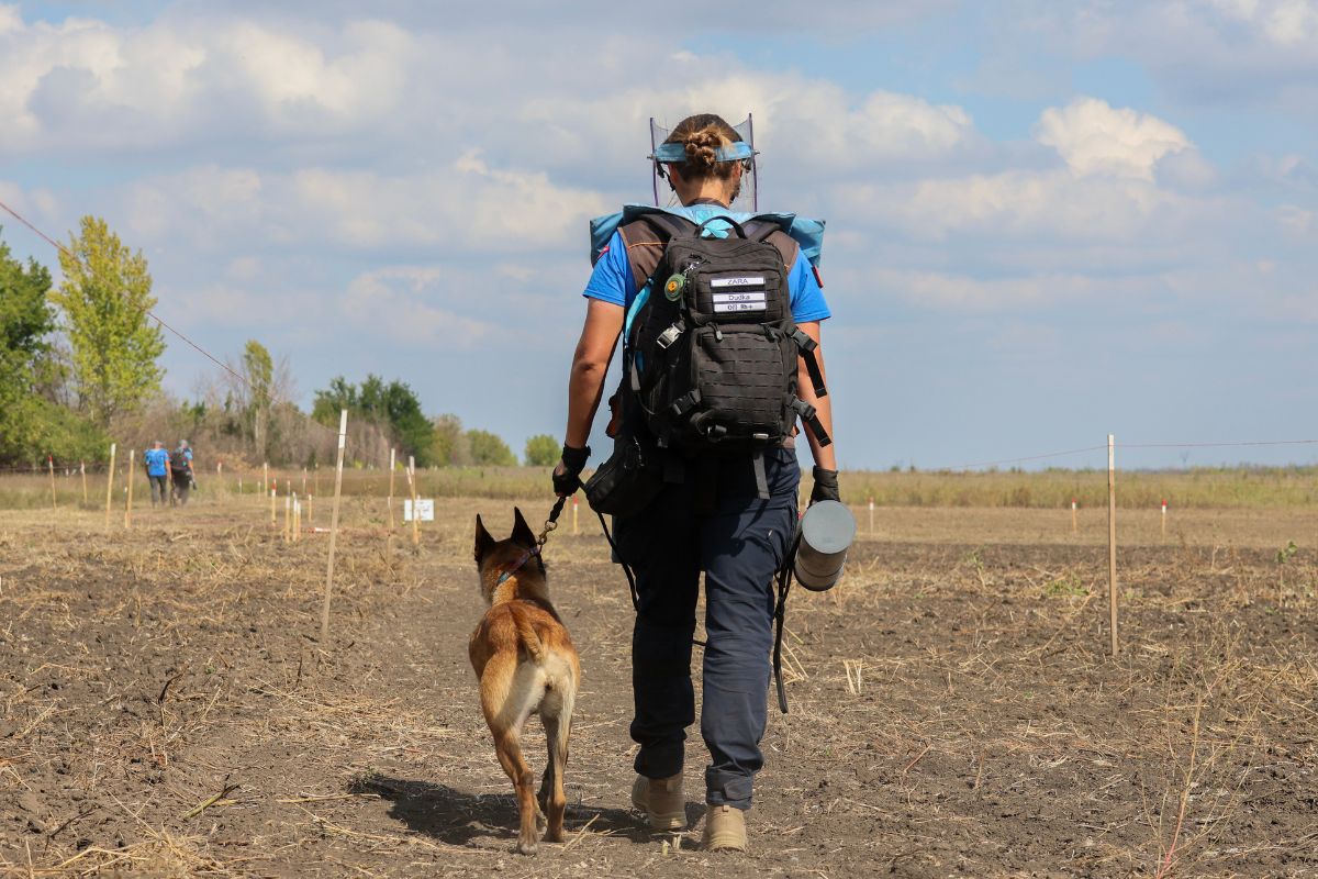 Ukraine Update-Cover picture